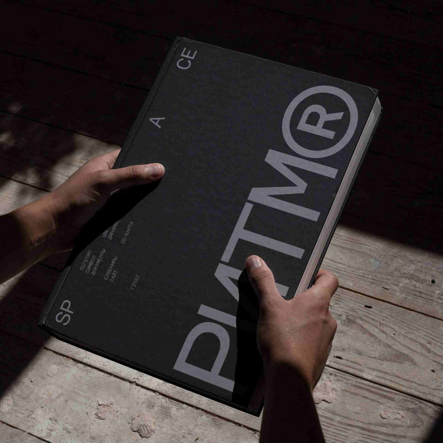 Orion Branding — image 3
